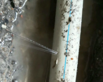 新巴尔虎左卫生间测漏水多少钱