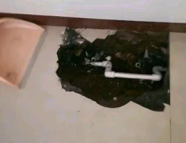 新巴尔虎左卫生间测漏水多少钱